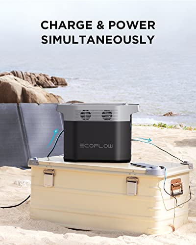 EF ECOFLOW Portable Power Station DELTA 1300 bundle