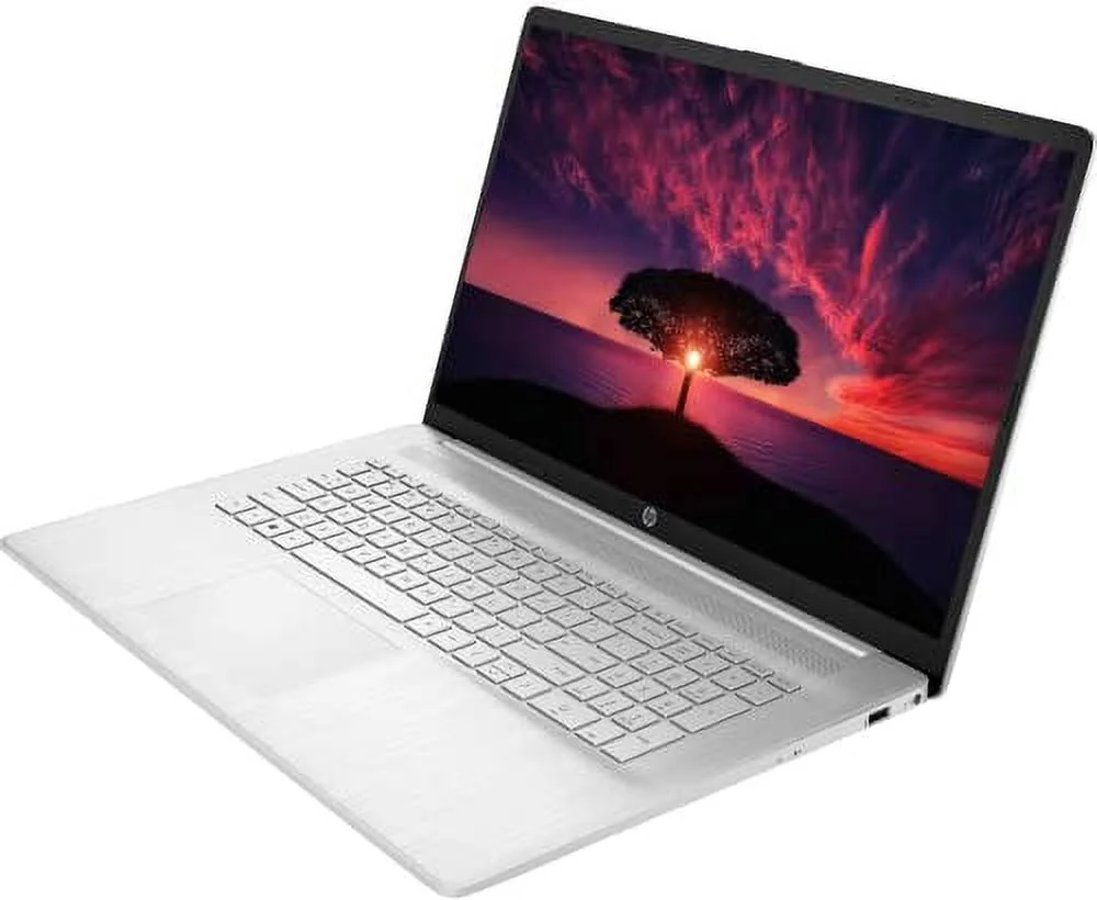 HP 17.3" HD Touchscreen Business Laptop, AMD Ryzen 5-5500U, Windows 11 Pro, 16GB RAM, 512GB SSD+1TB HDD, Numeric Keypad, HDMI, Wi-Fi, Bluetooth, Webcam, 32GB Durlyfish USB Card