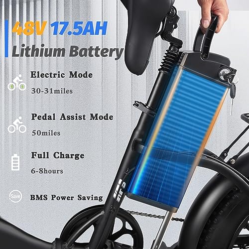 Electric Bike for Adults 1000W Folding Electric Bike Ebike with Removable Battery Fat Tire Electric Bicycle Long Range E Bike with Color Display Hydraulic Brake 7 Speed Gears