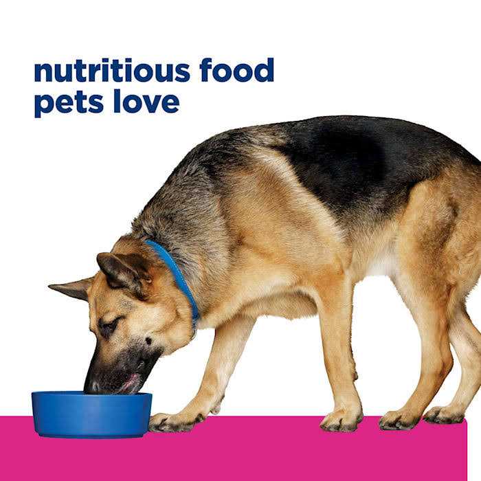 Hill's Prescription Diet Gastrointestinal Biome Digestive/Fiber Care Chicken &amp; Vegetable Stew Wet Dog Food - Pet Supplies online store