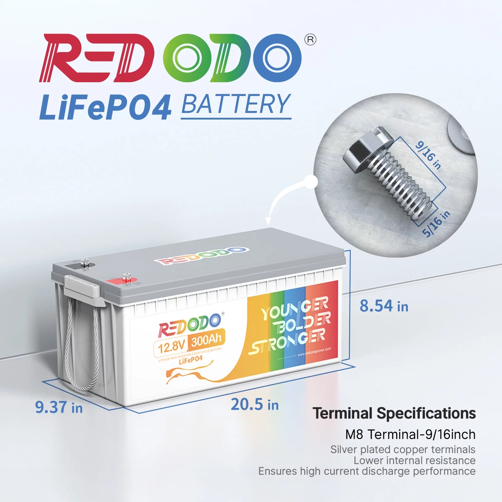 Redodo 12V 300Ah LiFePO4 Battery 200A BMS Lithium Battery for off-Grid, Home System, RV
