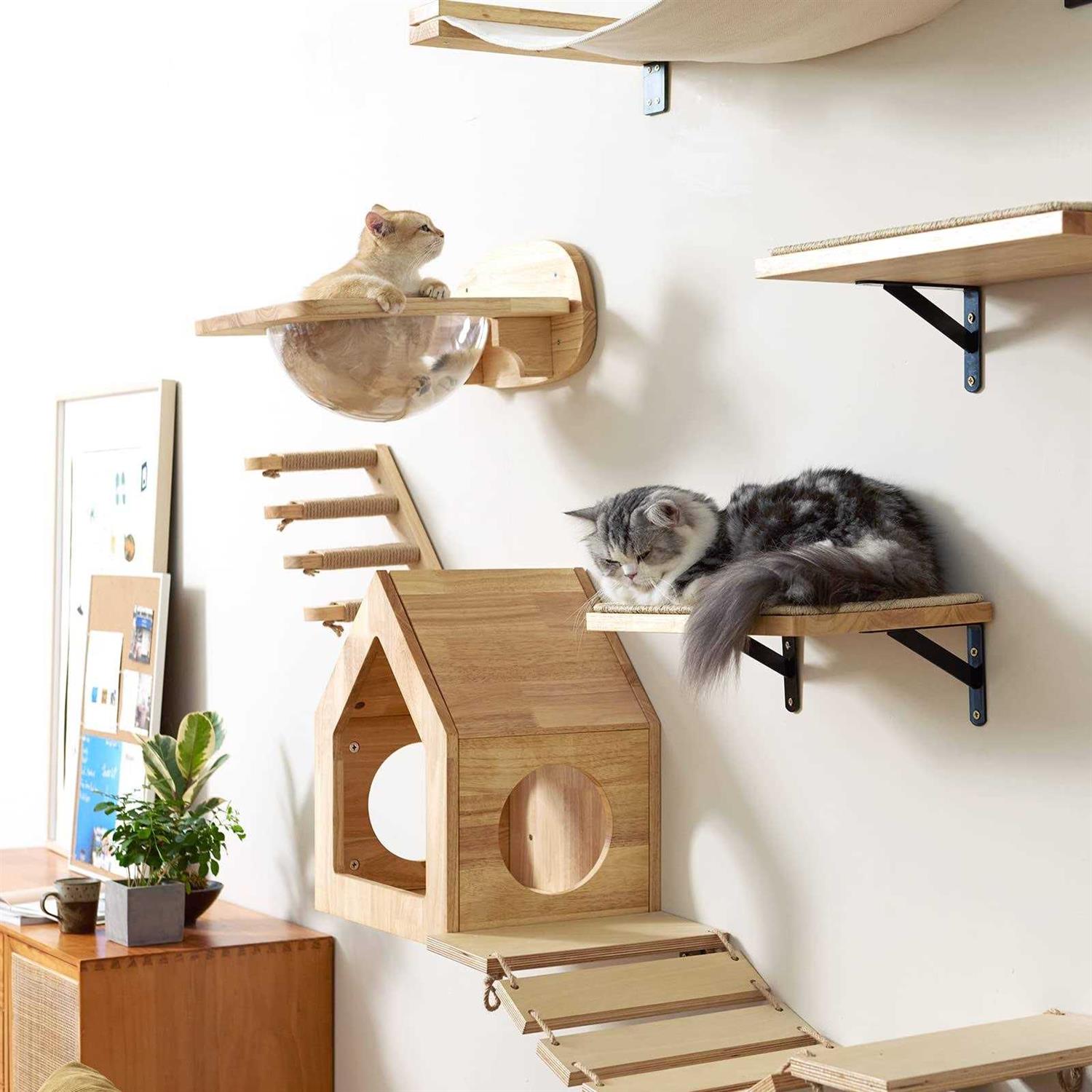 FUKUMARU Cat Wall Furniture Set Transparent Capsule Cat Wall Shelves with 2 PCS Pedals - Pet Supplies online store