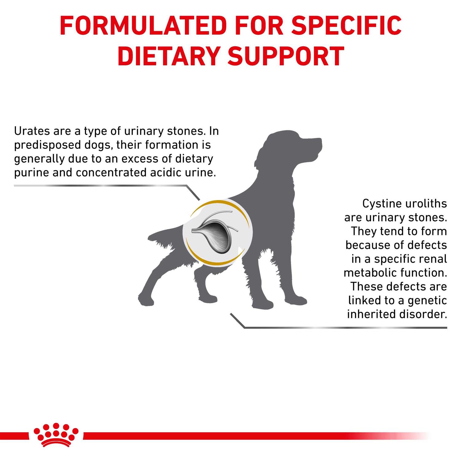 Royal Canin Veterinary Diet Urinary UC Low Purine Dry Dog Food - Pet Supplies online store