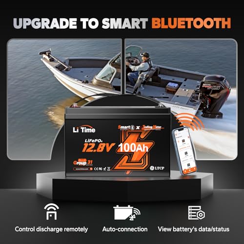 LiTime 12V 100Ah LiFePO4 Battery BCI Group 31 Lithium Battery Built-in 100A BMS, Up to 15000 Deep Cycles, Perfect for RV, Marine, Home Energy Storage