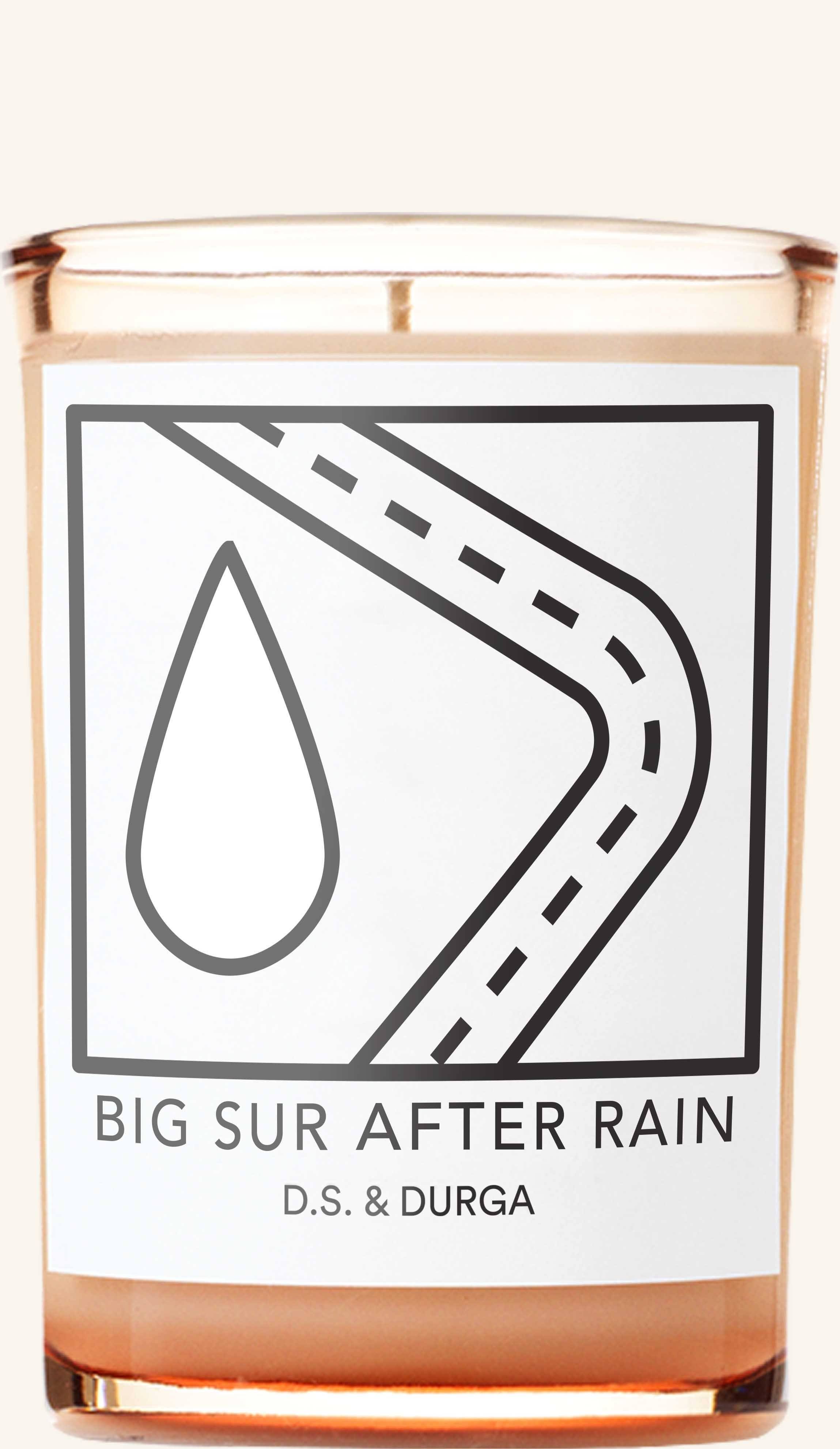 D. S. u0026 Durga Big Sur After Rain Candle 7 oz