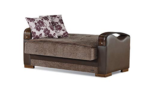 Empire Furniture USA LS-Rochester Rochester Collection Convertible Sofa Bed with Storage Space Includes 2 Pillows, Brown