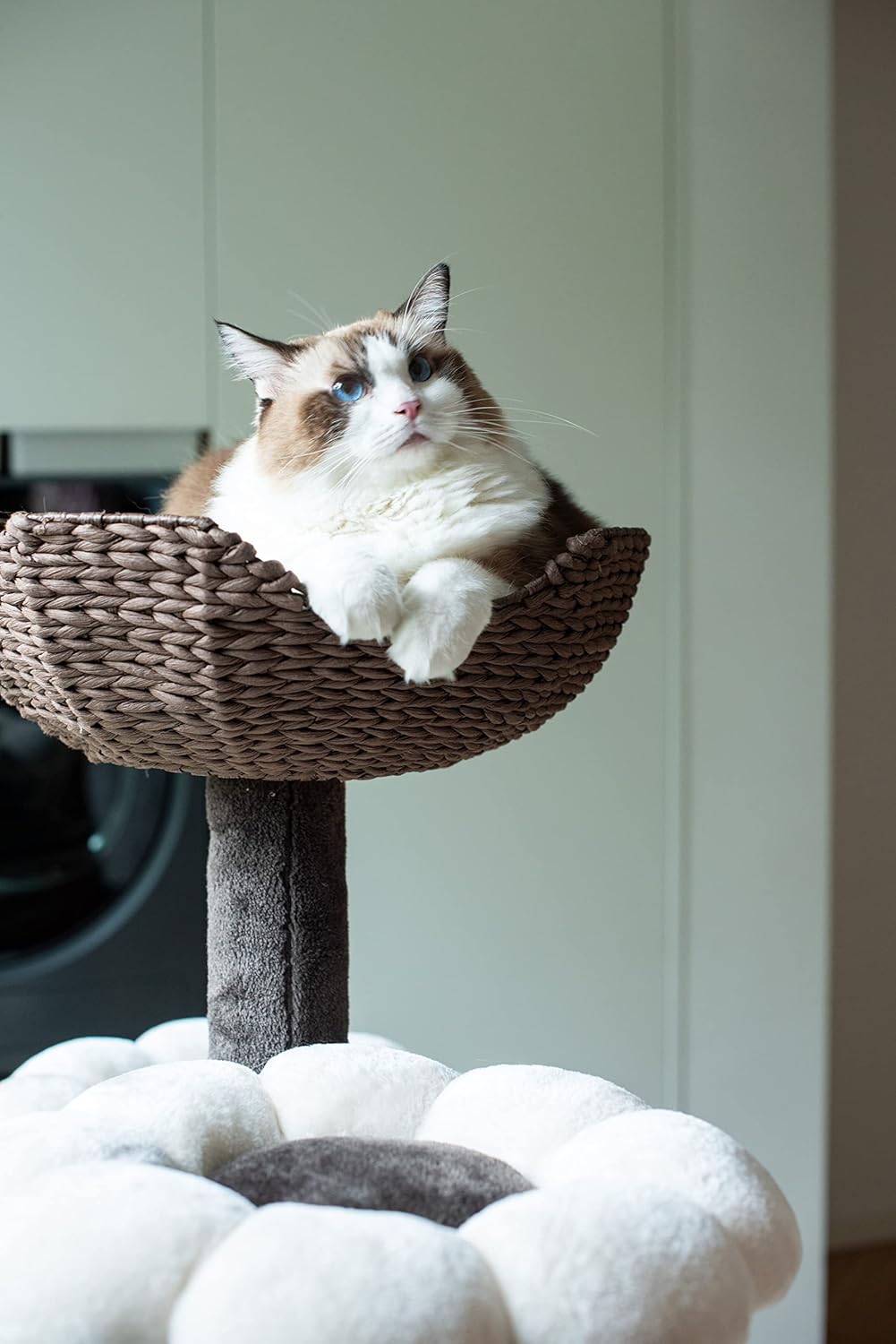 Catry Cat Tree - Woodowoodo - All-in-One Cat Tower with Cat Scratching Post, Cat Hammock, Hand Woven Paper Baskets, & Teasing Toy