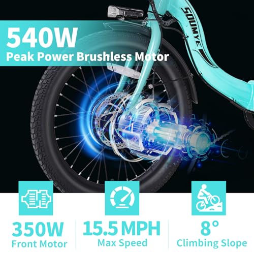 Electric Tricycle 20" 3 Wheels Electric Trike for Adults Women Men | Folding, Electric Bicycle Bikes, 350W, Step-Thru, Etrike, 374WH, Removable Battery, Large Basket