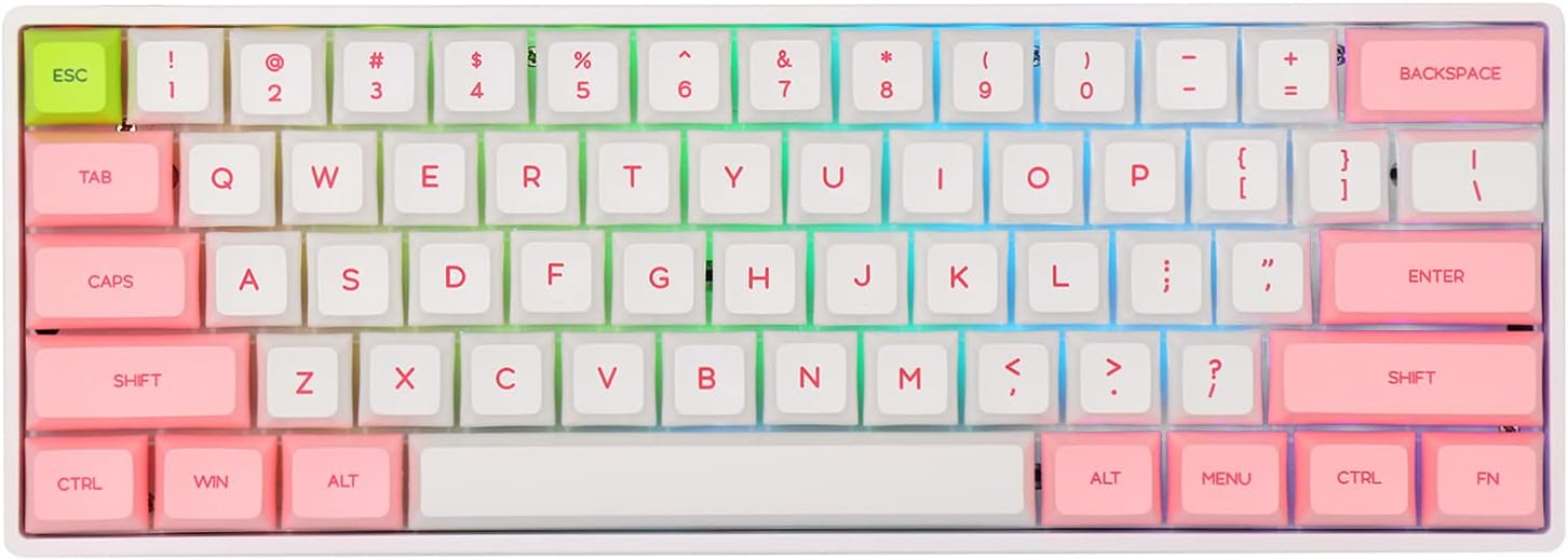 EPOMAKER SKYLOONG SK61 61 Keys 60% Hot Swappable Programmable Mechanical Gaming Wired Keyboard with RGB Backlit, NKRO, Water-Resistant, Type-C Cable for Win/Mac/Gaming (Gateron Optical Black, Panda)