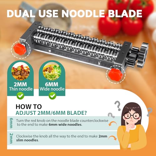Newhai Commercial Electric Pasta Maker, Automatic Noodle Machine, 2-in-1 Heavy Duty Dough Roller Pressing Machine, with 2mm/6mm Blade, 750W Stainless Steel, for Restaurant Home Use