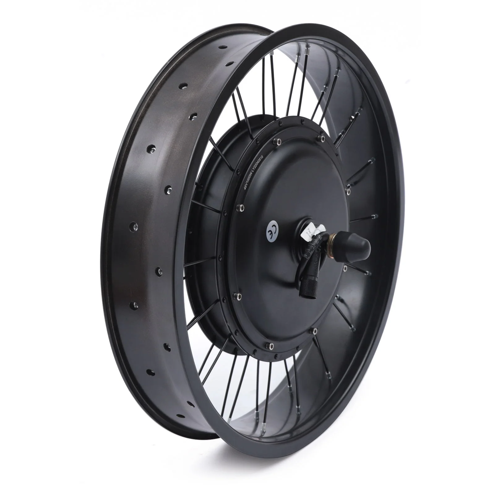 Wuzstar 20" Electric Bicycle Motor Brushless lectric Bicycle Conversion Kit Hub Front Wheel 1000W 48V