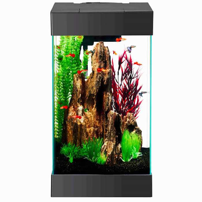 Aqueon 15 Column LED Aquarium Starter Kit - Pet Supplies online store