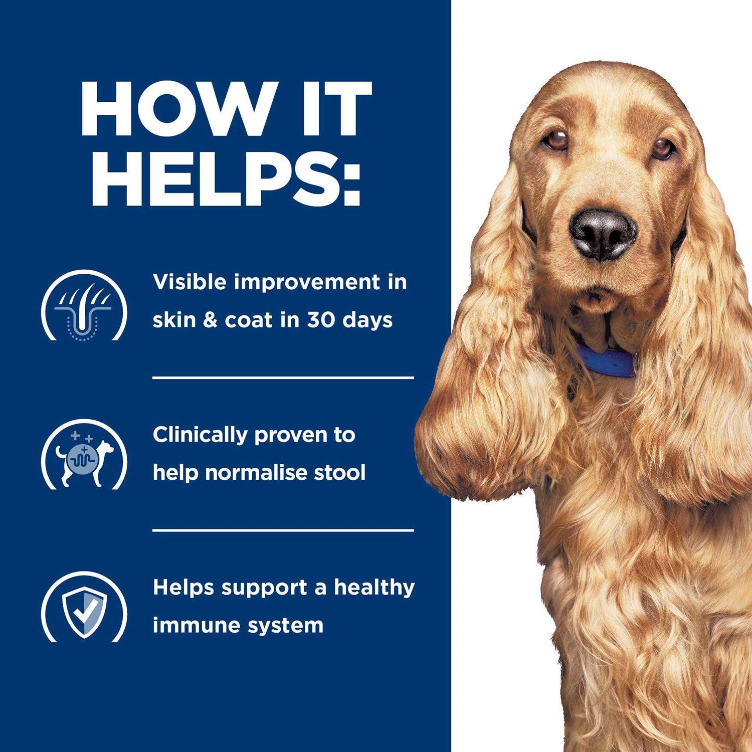 Hill's Prescription Diet Prescription Diet z/d Dog Food - Pet Supplies online store