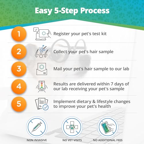 5Strands Pet Food Intolerance Test, at Home Sensitivity Test for Dogs & Cats, 272 Items, Hair Analysis, Accurate for All Ages and Breed, Results in 5 Days - Protein, Grain, Preservatives