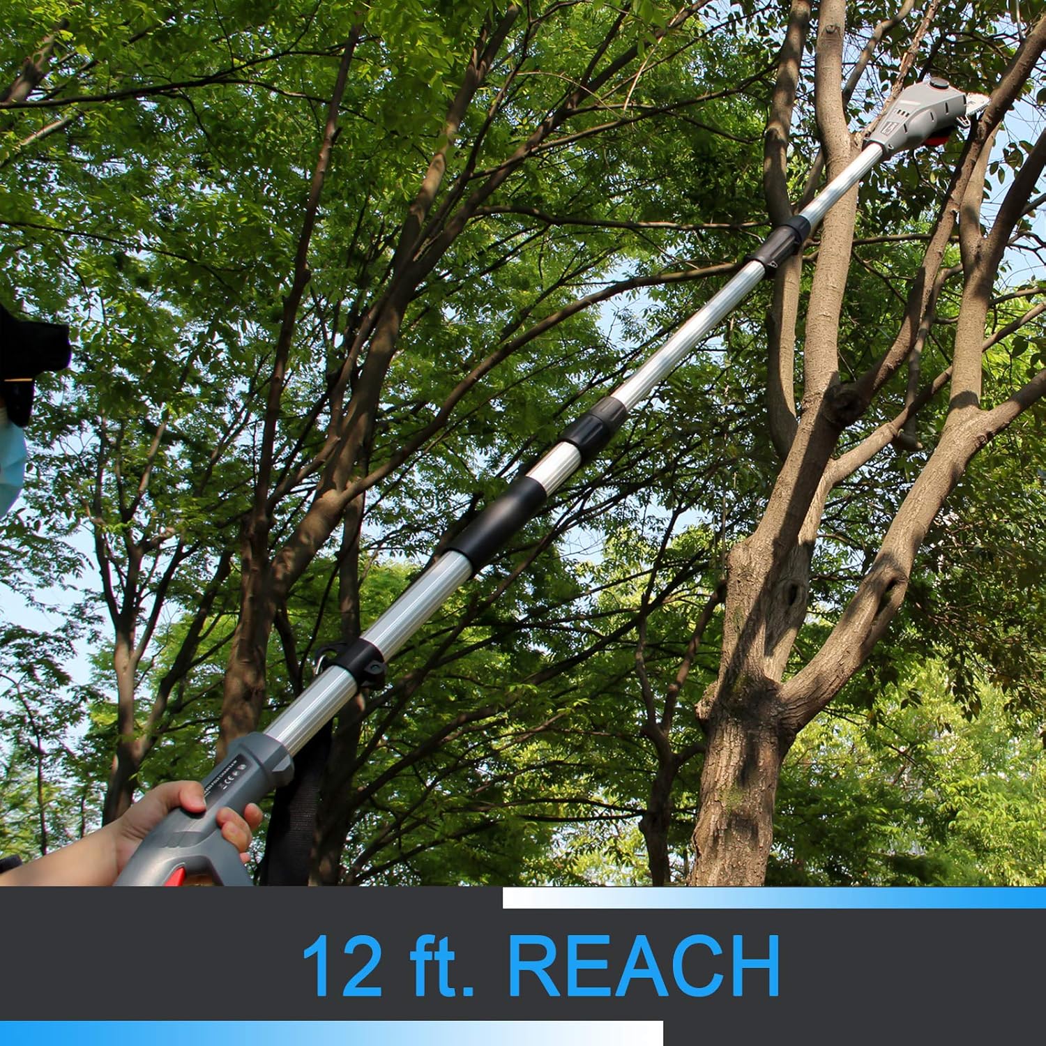 SALEM MASTER Pole Saw for Tree Trimming, Electric Telescopic Pole Chain Saw with Extension Up To 12 FT, 8-Inch Blade 20V Max Battery Powered Tree Trimmer