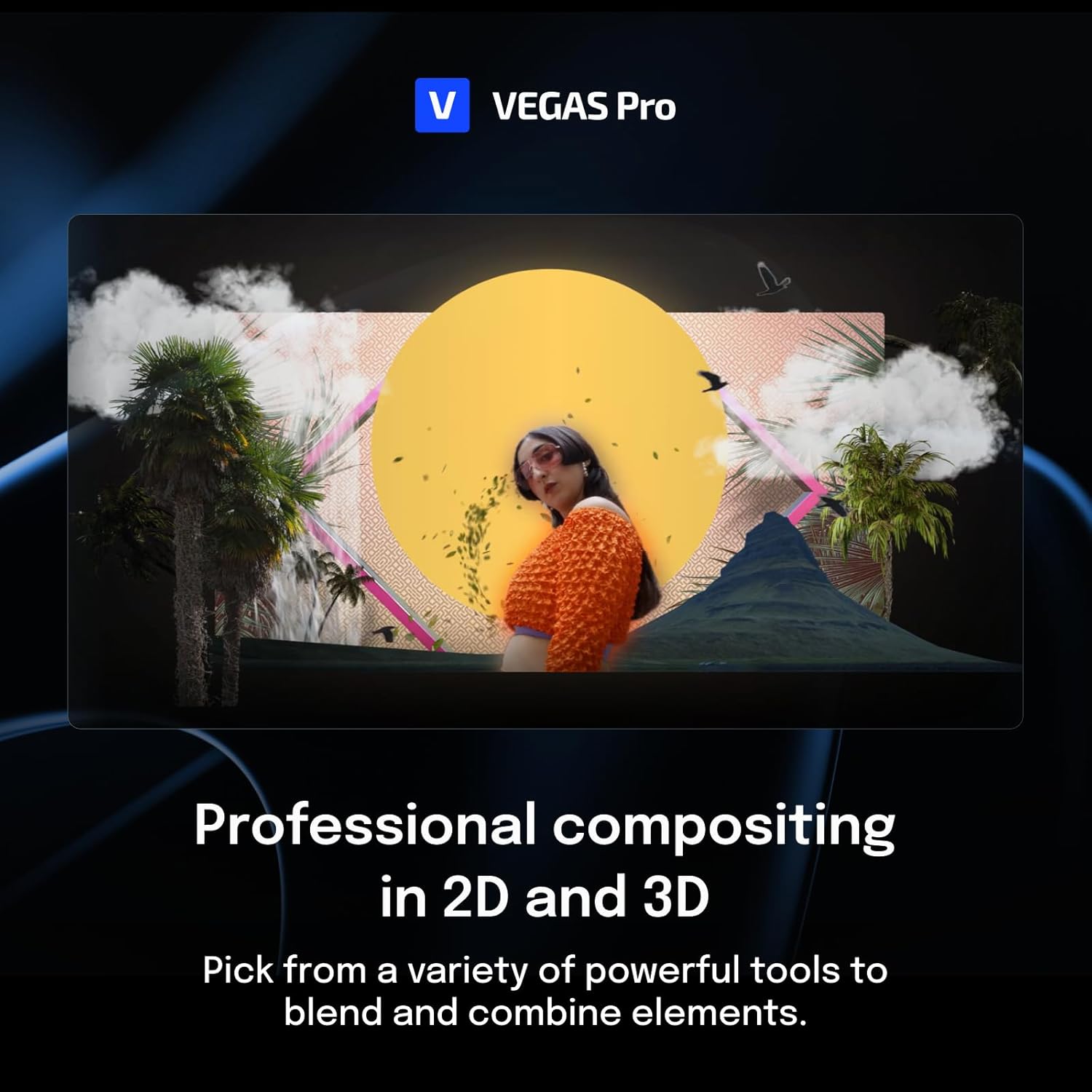 VEGAS Pro Suite 22 - All-in-one suite for video, audio and post-production | video editing software | video cutting software | video editor | Windows 10/11 PC | 1 license