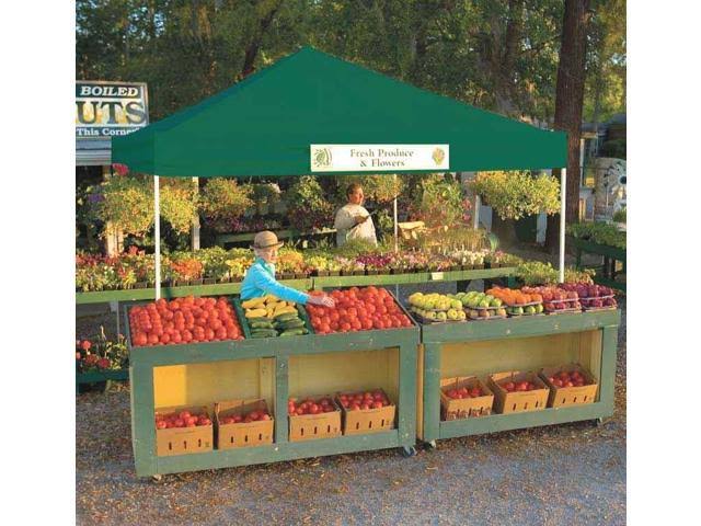 ShelterLogic 12&x12& Pro Pop-Up Canopy-Straight Green