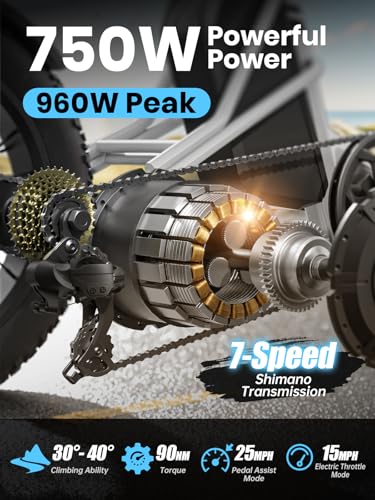 Electric Trike for Adult with 750W Motor, 48V 18AH Cells Battery, Pickup Class 500 LB Load Electric Tricycle with 20" Fat Tire and Large Basket, 60 Miles Range, for City and Mountain Road