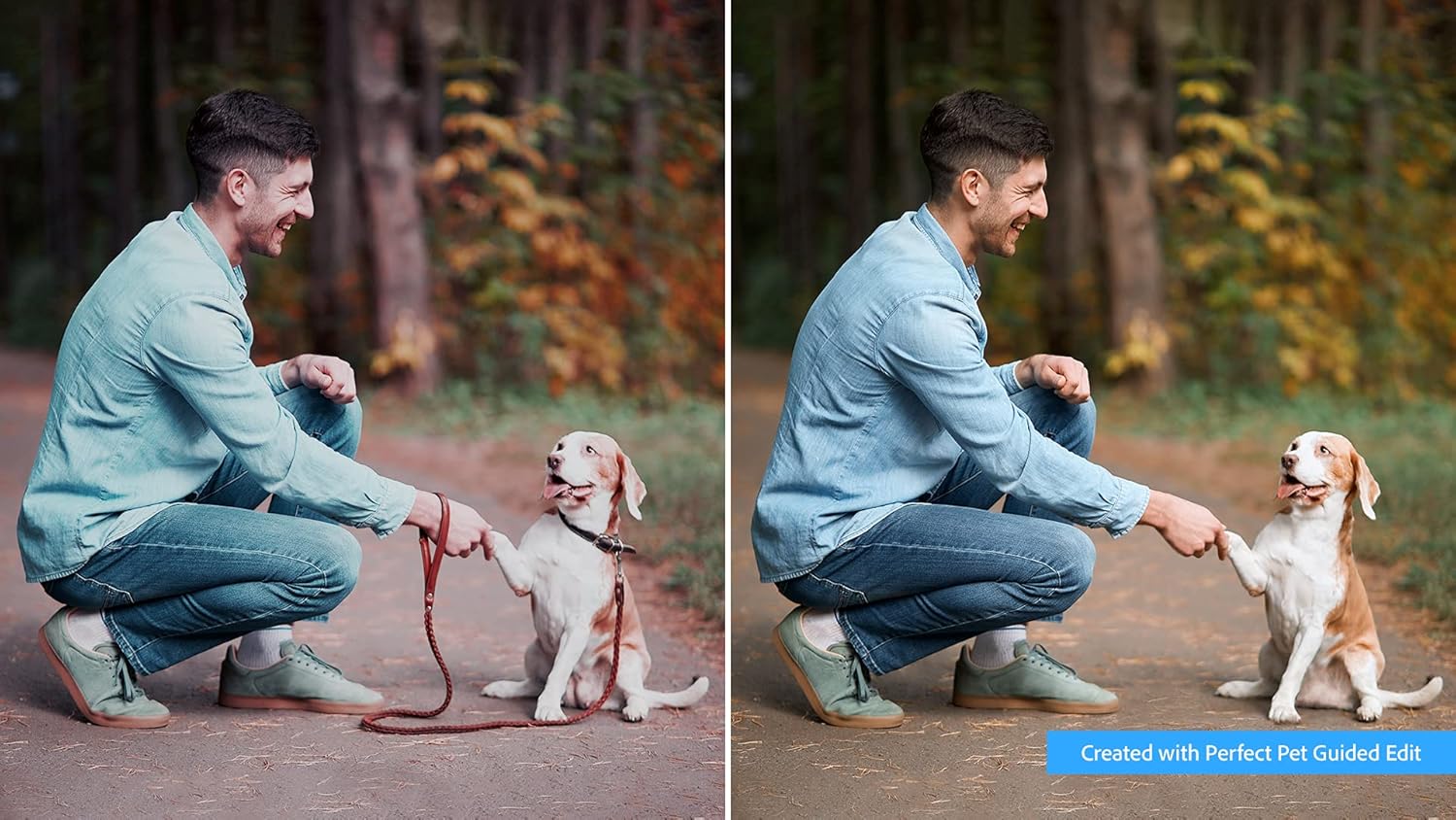 Adobe | Bundle - Photoshop Elements 2022 & Premiere Elements 2022 | PC Code Software Download | Photo Editing | Video Editing