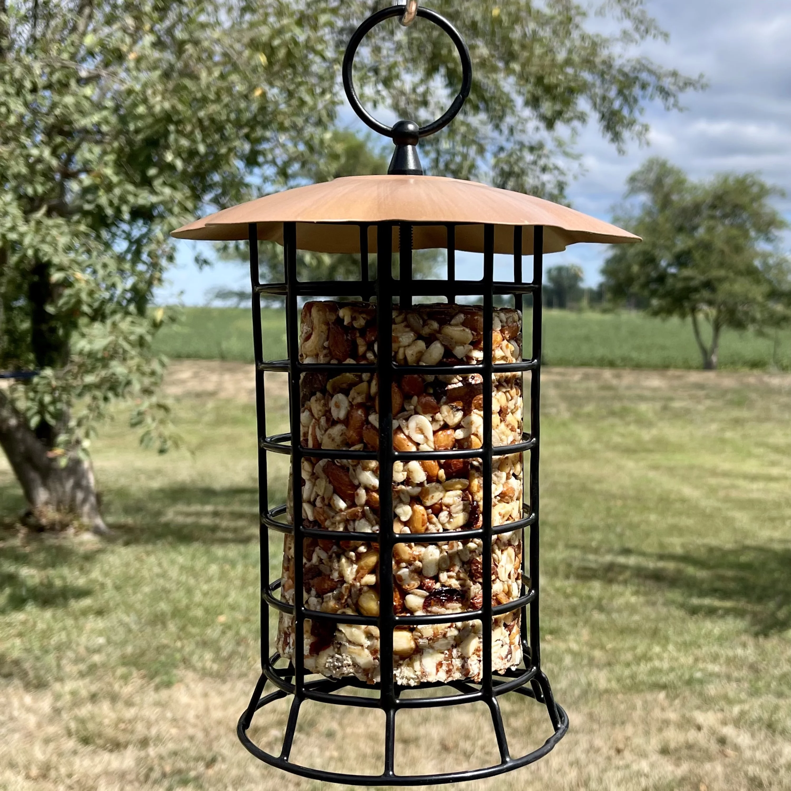 Songbird Essentials Suet Feeder Hanging Metal Bird Feeder for Suet Logs, 1 Log Capacity Copper - Curated Treasures Market