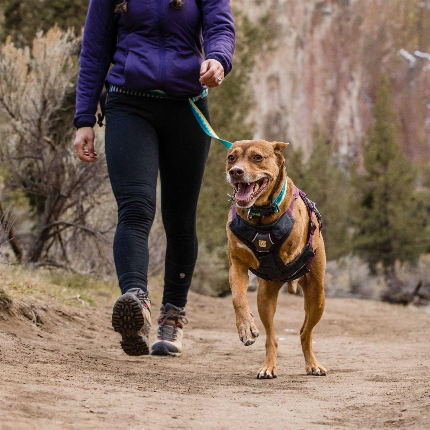Ruffwear Harness Web Master - Pet Supplies online store