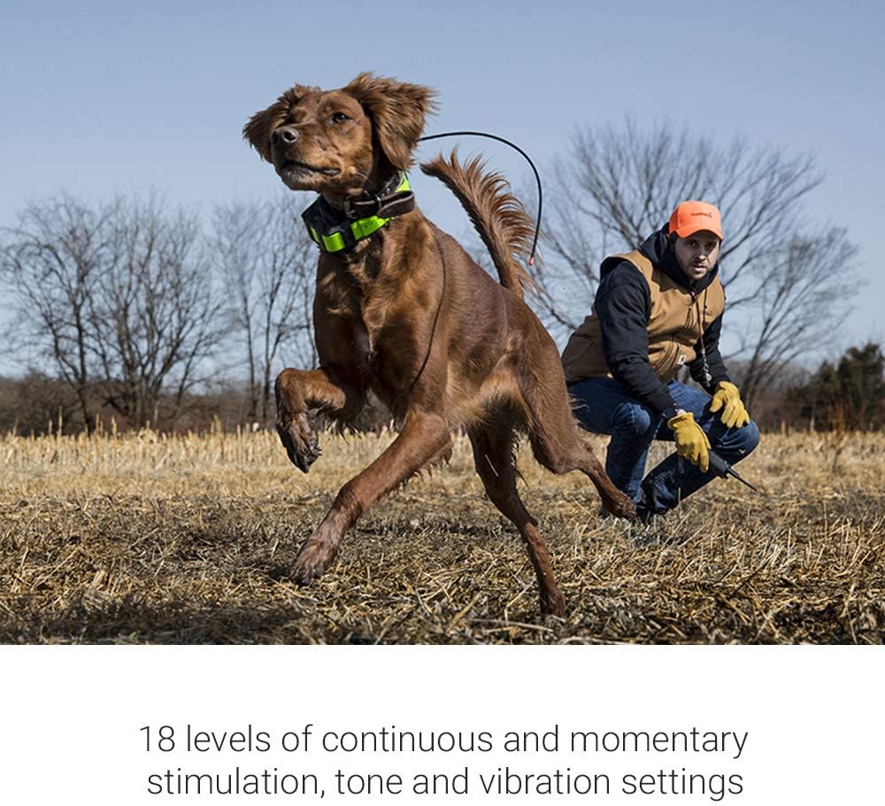 Garmin Pro 550 Plus, Dog Training System with Simple GPS Tracking, Collar and Handheld
