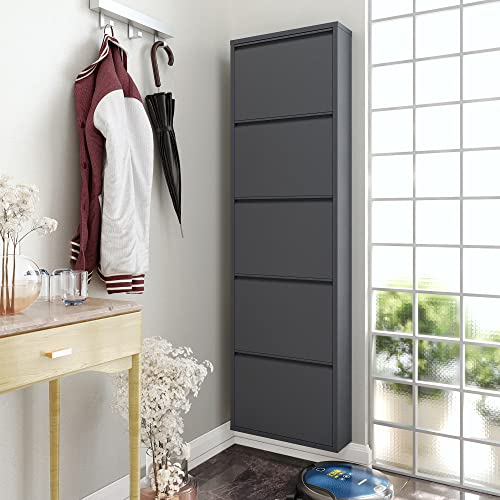 5 Tier Metal Shoe Cabinet with Cover, Durable Shoe Storage Organizer for Entryway, Space Saving Shoe Shelf Closet with Front Ventilation Holes, 5.91" x 66.5" x 19.68", Anthracite