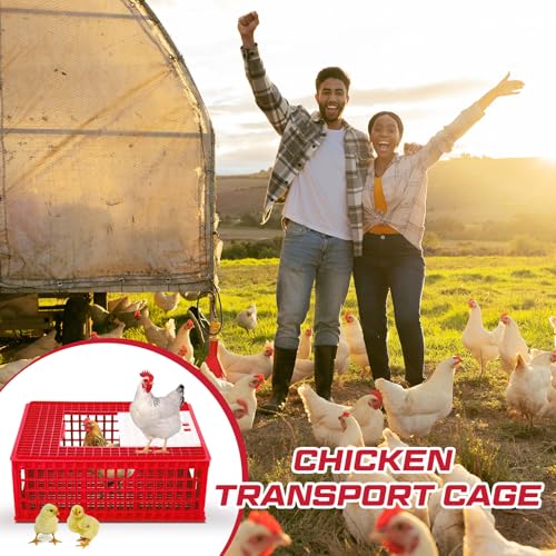 2 Pcs Poultry Carrier Crate 3 Door Chicken Transport Cage Plastic Poultry Carrier Basket Box for Chicken Duck Goose Birds, 29.53 x 21.65 x 11.42 Inch(Blue)