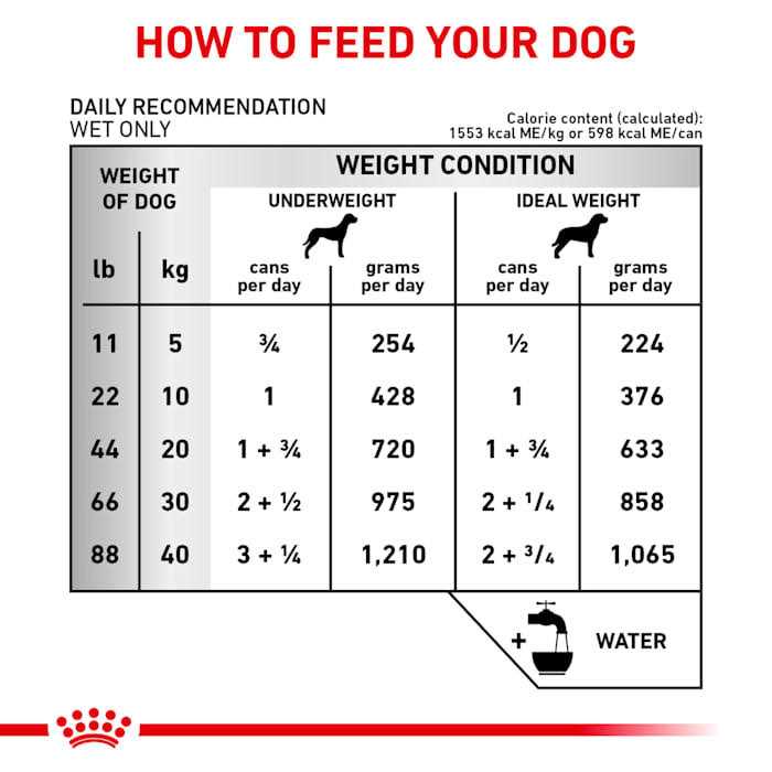Royal Canin Veterinary Diet Canine Renal Support E Canned Dog Food - Pet Supplies online store