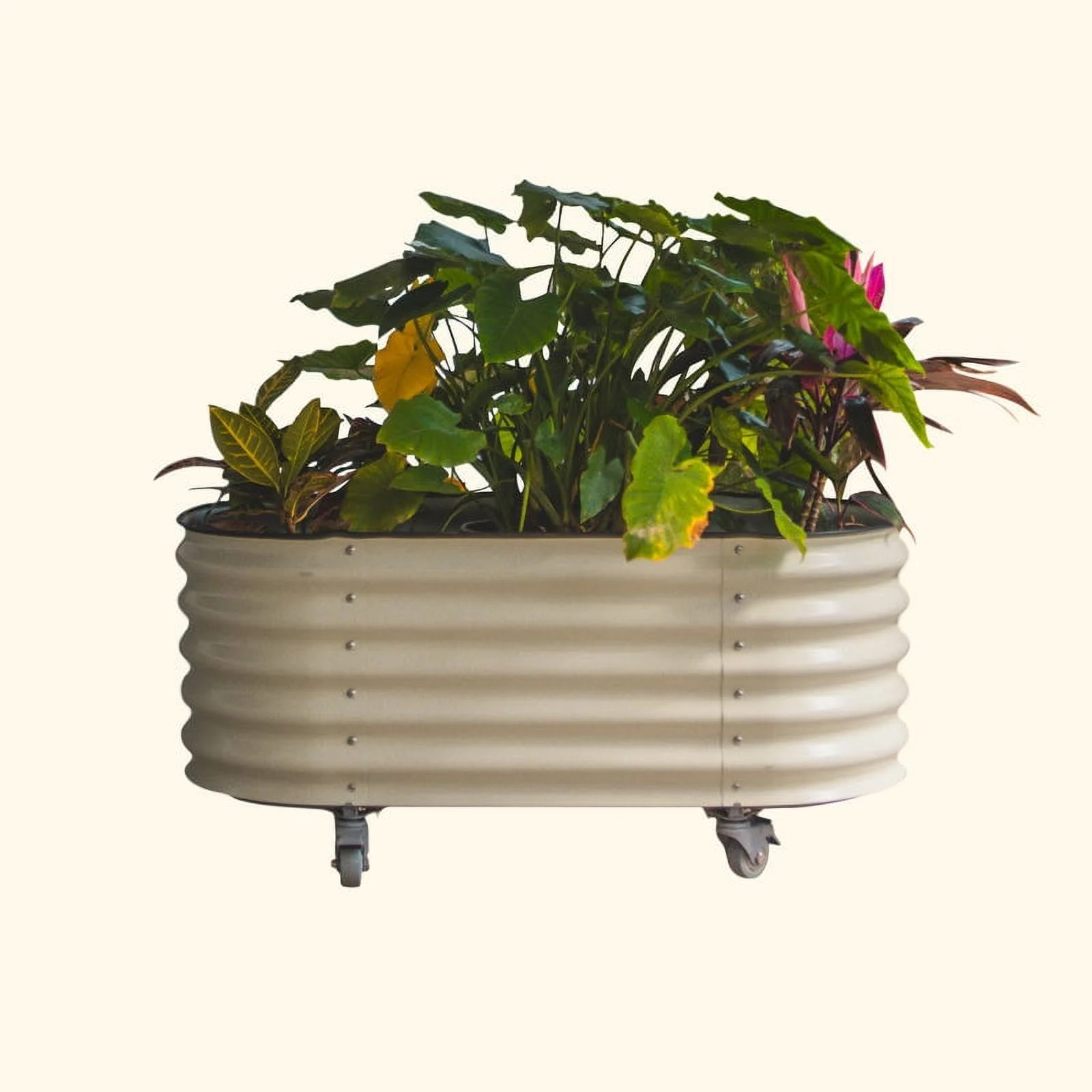 Vego Garden 2 x 4 ft Self-Watering Rolling Planter Raised Gardening Bed Kits-Pearl White