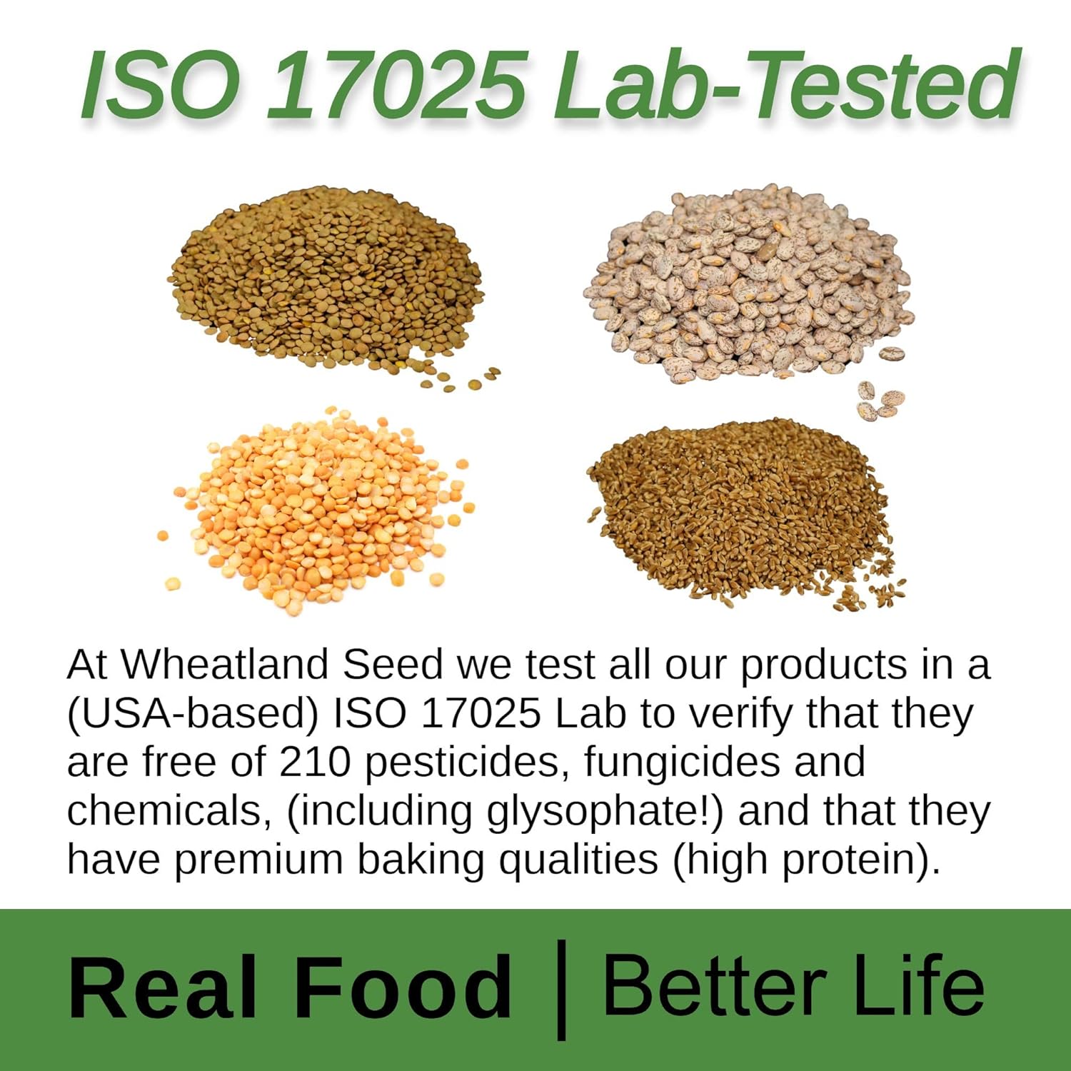 Wheatland™ Hard White Wheat Berries • Artisan Wheat • Four Buckets 25 lbs each, 100 lbs total • Farm Fresh • Lab Tested ISO 17025 Chemical Free • Non GMO • Never Irradiated • No Desiccants • High Trust Seller