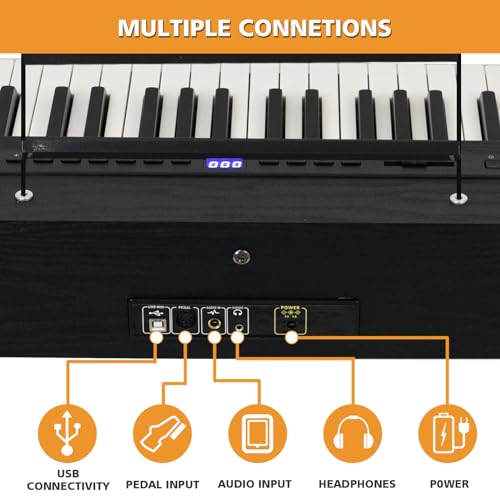 Digital Piano 88 Key Weighted Keyboard with Hammer Action, Full Size Weighted Keyboard piano 88 Key with 2x30W Speakers, Adjustable Stand, Carrying Case, Sustain Pedal, Headphone, ABS, Black