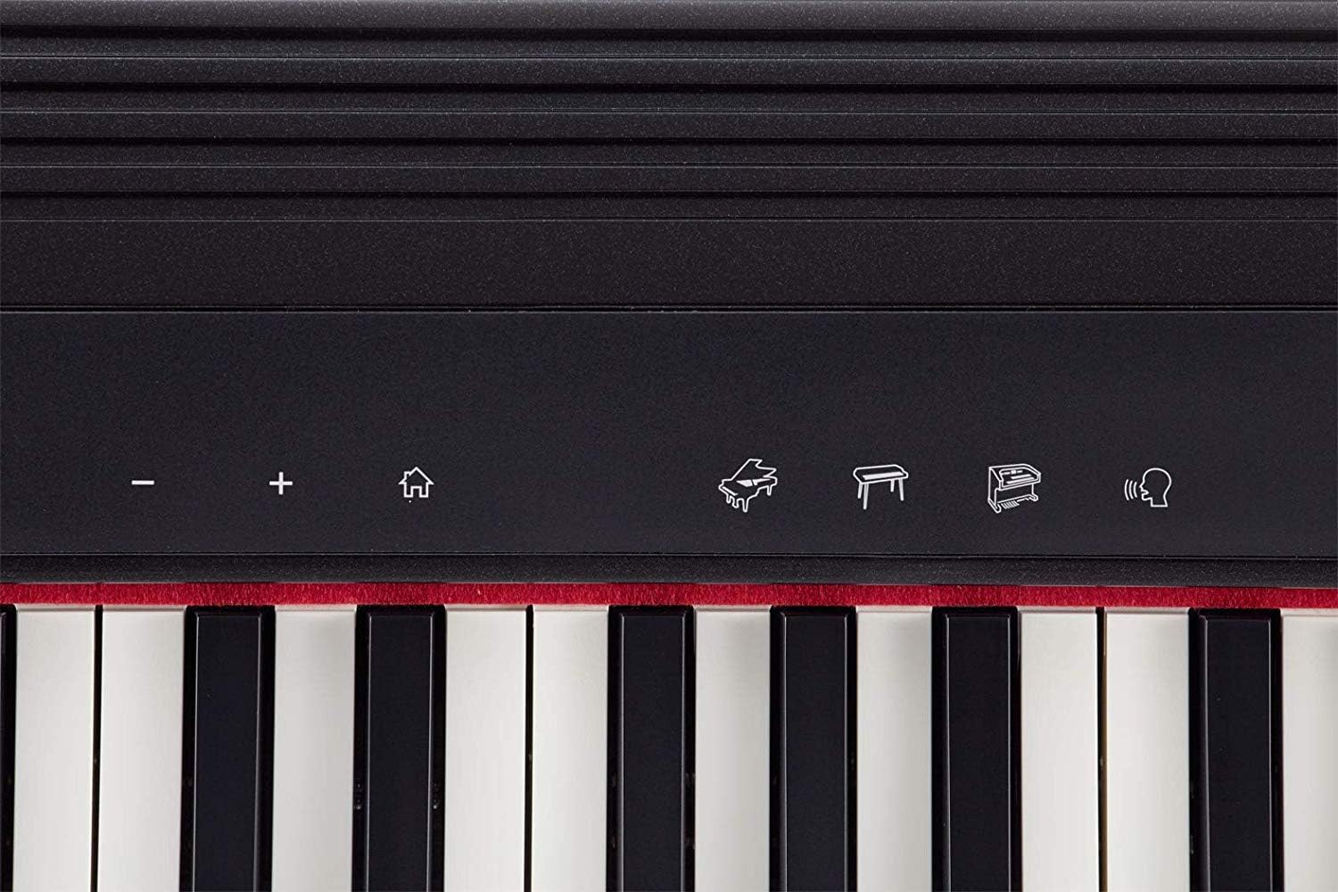 Roland GO:PIANO 61-key Digital Piano Keyboard with Integrated Bluetooth Speakers (GO-61P)