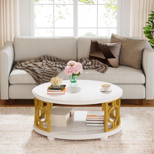 2-Tier Coffee Table, Modern Round Center Table with Storage Shelf for Living Room