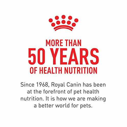 Royal Canin Feline Breed Nutrition Maine Coon Adult Thin Slices in Gravy Wet Cat Food, 3-oz can, case of 24 - Pet Supplies online store