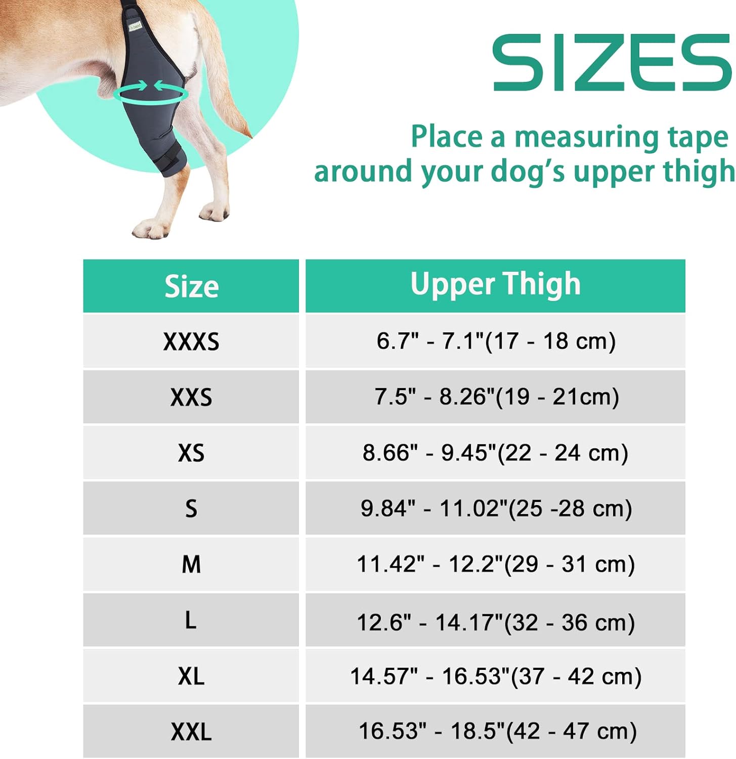 IN HAND Canine Dog Knee Brace, Knee Immobilizer Support for Dogs with Torn ACL, Knee Cap Dislocation, Arthritis, Neoprene Canine Stifle Brace Helps Keep The Joint Stable and Reduces Pain, Left