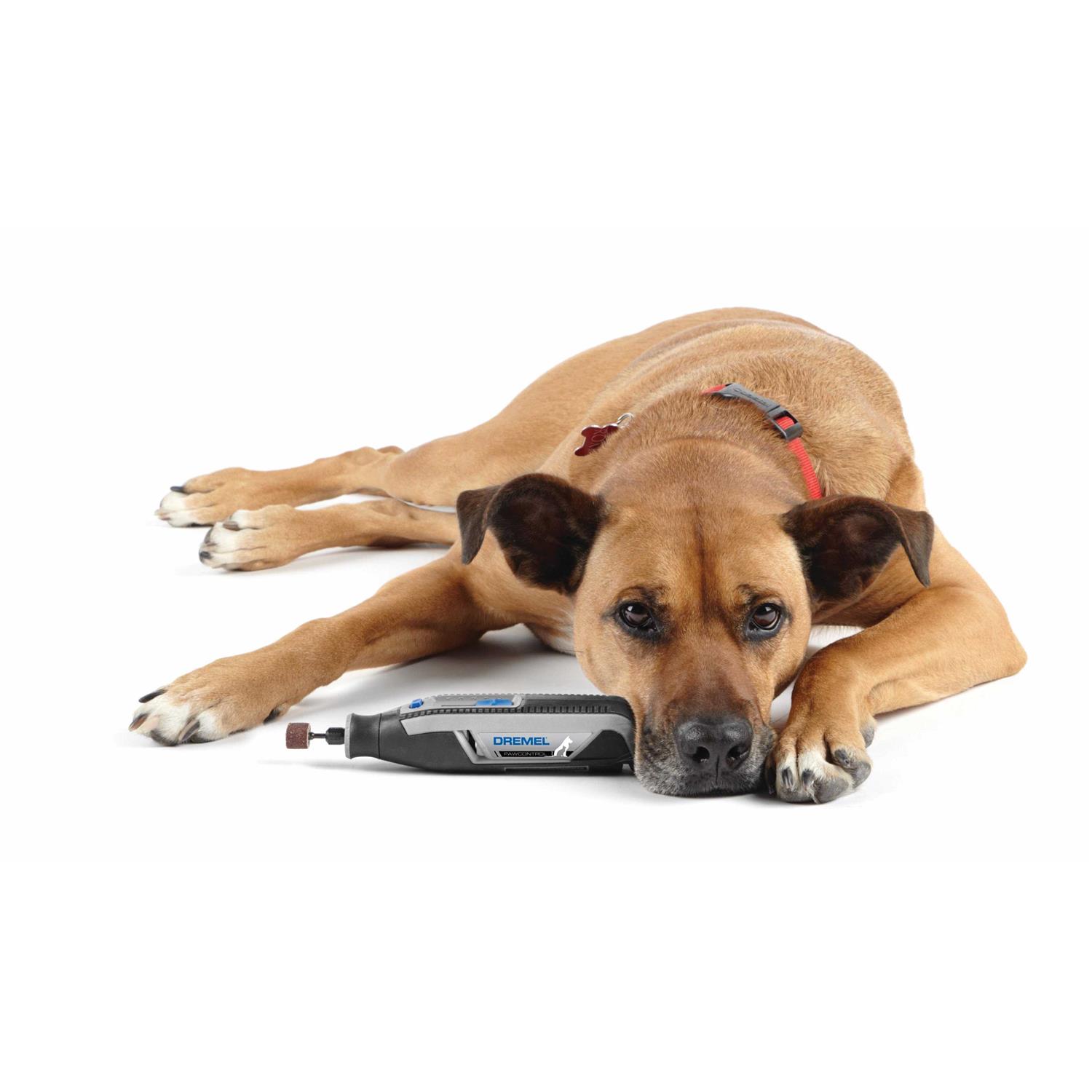 Dremel Pet Nail Grooming Kit 4 Volt Cordless - Pet Supplies online store