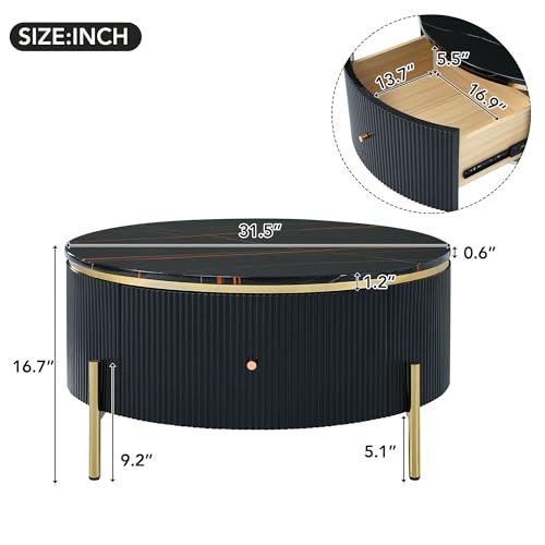 Modern Round Lift-top Nesting Coffee Tables with 2 Drawers for Living Room White & Natural