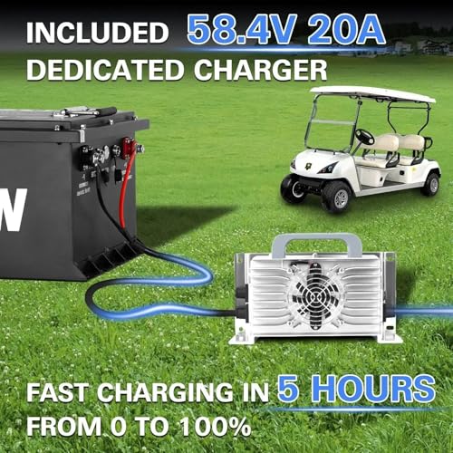 Weize 12V 100Ah TM LiFePO4 Lithium Battery, Built-in Smart BMS, Group 31 Deep Cycle Battery Perfect for Trolling Motor, RV, Solar, Marine, Overland/Van, and Off Grid Applications