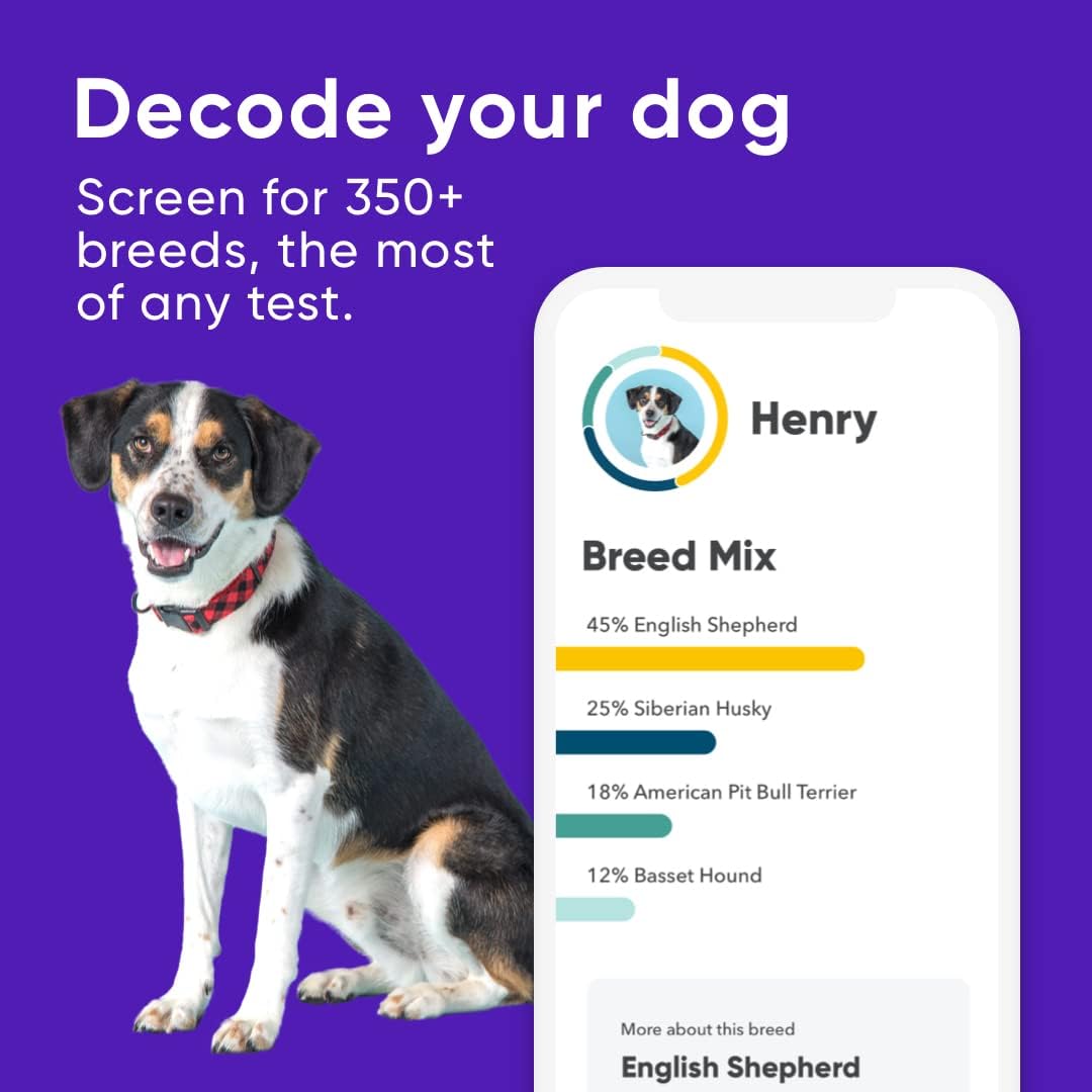 Embark | Dog DNA Test | Breed Identification Kit