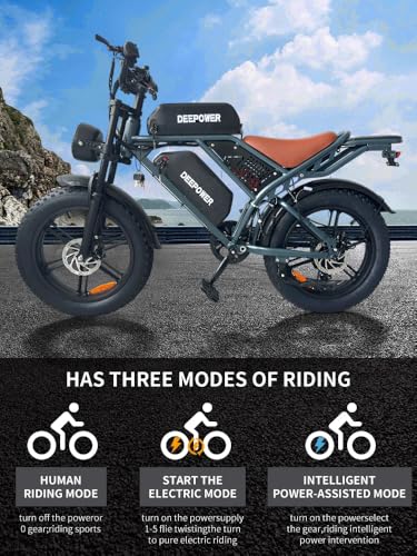 Electric Bike for Adult,1500W Peak Brushless Motor 30 MPH Fat Tire E Bike with 624-2880Wh Removable Battery 20" Electric Dirt Bike with Dual Suspension and 7-Speed