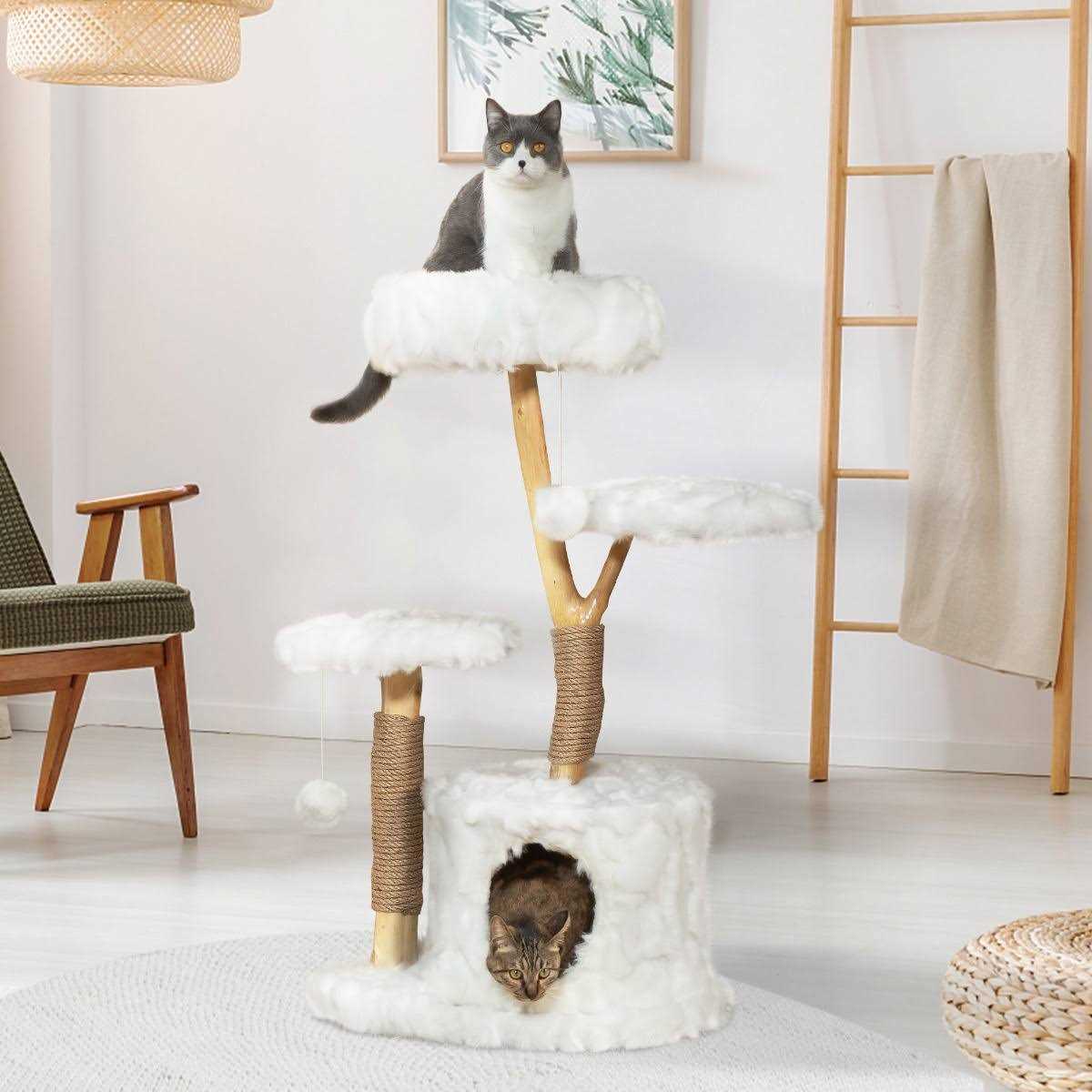 Coziwow Cat Tree Real Branch Luxury Cat Condo - Pet Supplies online store