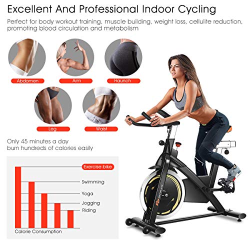 Goplus Indoor Cycling Bike, Stationary Bicycle with Flywheel and LCD Display, Cardio Fitness Cycle Trainer Professional Exercise Bike for Home and Gym Use