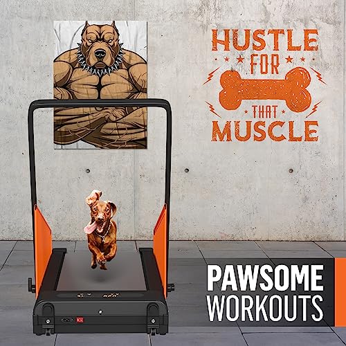 Dog Treadmill for Small and Medium Size Dogs - Pet Running Machine - Dog Pacer Training Pad