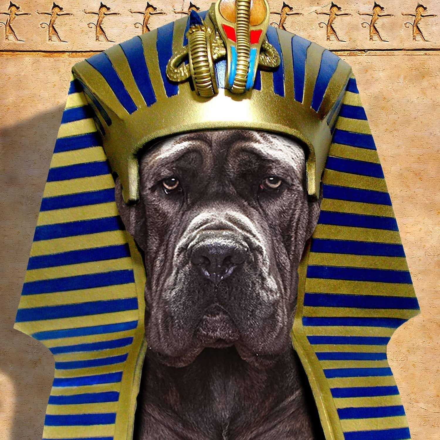 Fromm Adult Ancient Gold Dog Dry Food - Pet Supplies online store