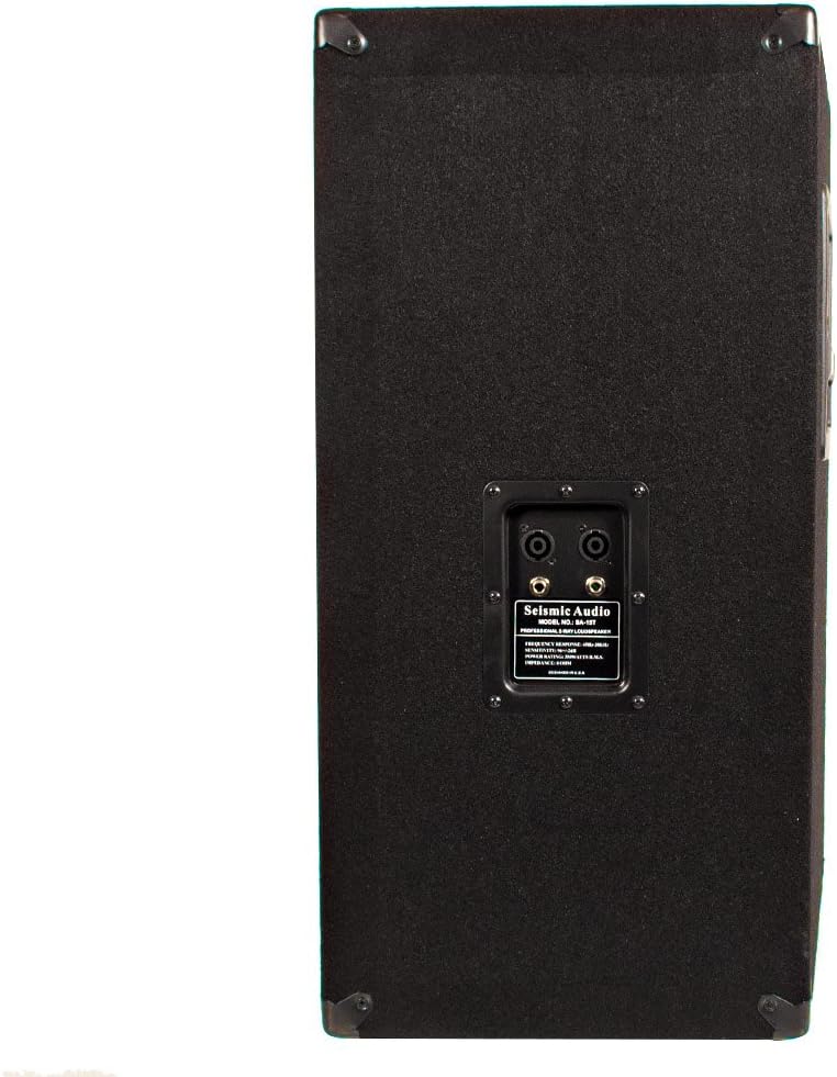 Seismic Audio SA-15T_Empty Empty 15-Inch PA/DJ Speaker Cabinet Band Live Sound