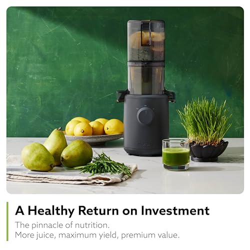 Hurom H310A Personal Self Feeding Slow Masticating Juicer