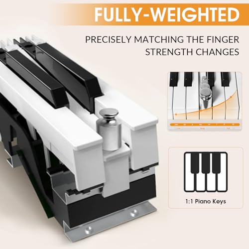 Digital Piano 88 Key Weighted Keyboard with Hammer Action, Full Size Weighted Keyboard piano 88 Key with 2x30W Speakers, Adjustable Stand, Carrying Case, Sustain Pedal, Headphone, ABS, Black