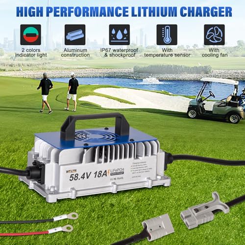 Weize 12V 100Ah TM LiFePO4 Lithium Battery, Built-in Smart BMS, Group 31 Deep Cycle Battery Perfect for Trolling Motor, RV, Solar, Marine, Overland/Van, and Off Grid Applications