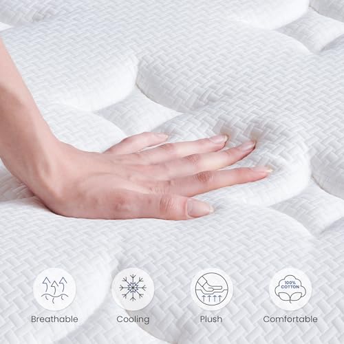 Queen Size Mattresses, 14 Inch Queen Mattress in a Box with Gel Memory Foam, Individually Pocketed Springs for Pressure Relief and Back Pain Relief-Plush